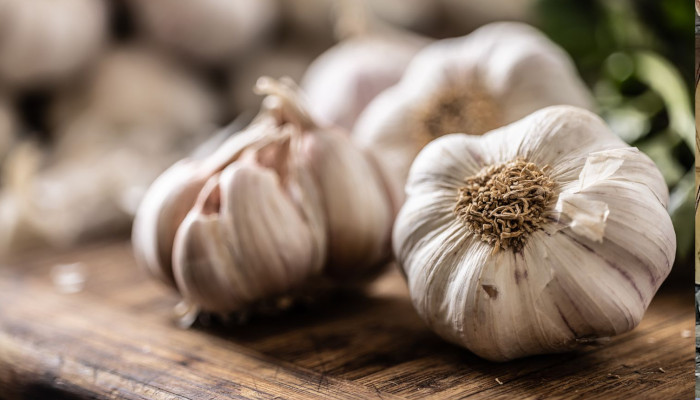 garlic